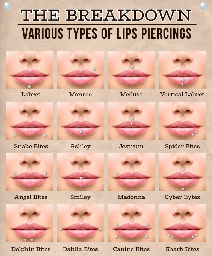 Labret Types Of Lip Jewelry Lower Lip Bottom Lip Ring Piercing