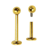 Titanium Gold Labret Stud Piercing 16G 14G Internally Threaded Lip Jewellery, Lip Ring, Tragus Earring - 6mm to 12mm