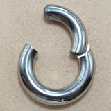 Titanium Prince Albert Piercing Segment Ring 12G 10G 8G 6G 4G 2G 1G 0G 00G Body Jewellery for Male Genitals, Nose Hoop - 1pc each order