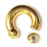 Gold Titanium PA Ring, Horseshoe Prince Albert Piercing - 10g to 00g Genital Piercing Painful Pleasure Jewelry Also Piercing for Septum, Earlobe