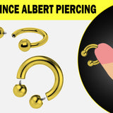 Gold Titanium PA Ring, Horseshoe Prince Albert Piercing - 10g to 00g Genital Piercing Painful Pleasure Jewelry Also Piercing for Septum, Earlobe