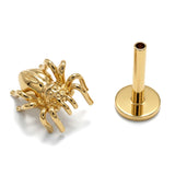 14K Gold Spider Tragus Earrings, 16G Labret Stud, Helix Cartilage Piercings
