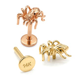 14K Gold Spider Tragus Earrings, 16G Labret Stud, Helix Cartilage Piercings