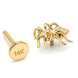 14K Gold Spider Tragus Earrings, 16G Labret Stud, Helix Cartilage Piercings