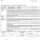 Titanium Double Flared Plugs Ear Stretching with DIY Attachable Dangle Ring - Body Piercing Ear Gauges, Ear Tunnels