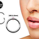 Titanium Seamless Segment Septum Ring, Daith Ring, Helix Cartilage Piercing - 18g (1.0mm) Thin Nose Ring