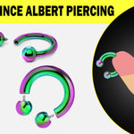 Rainbow Prince Albert Piercing, PA Ring - Circular Barbell, Horseshoe Barbell 10G to 00G Body Piercing