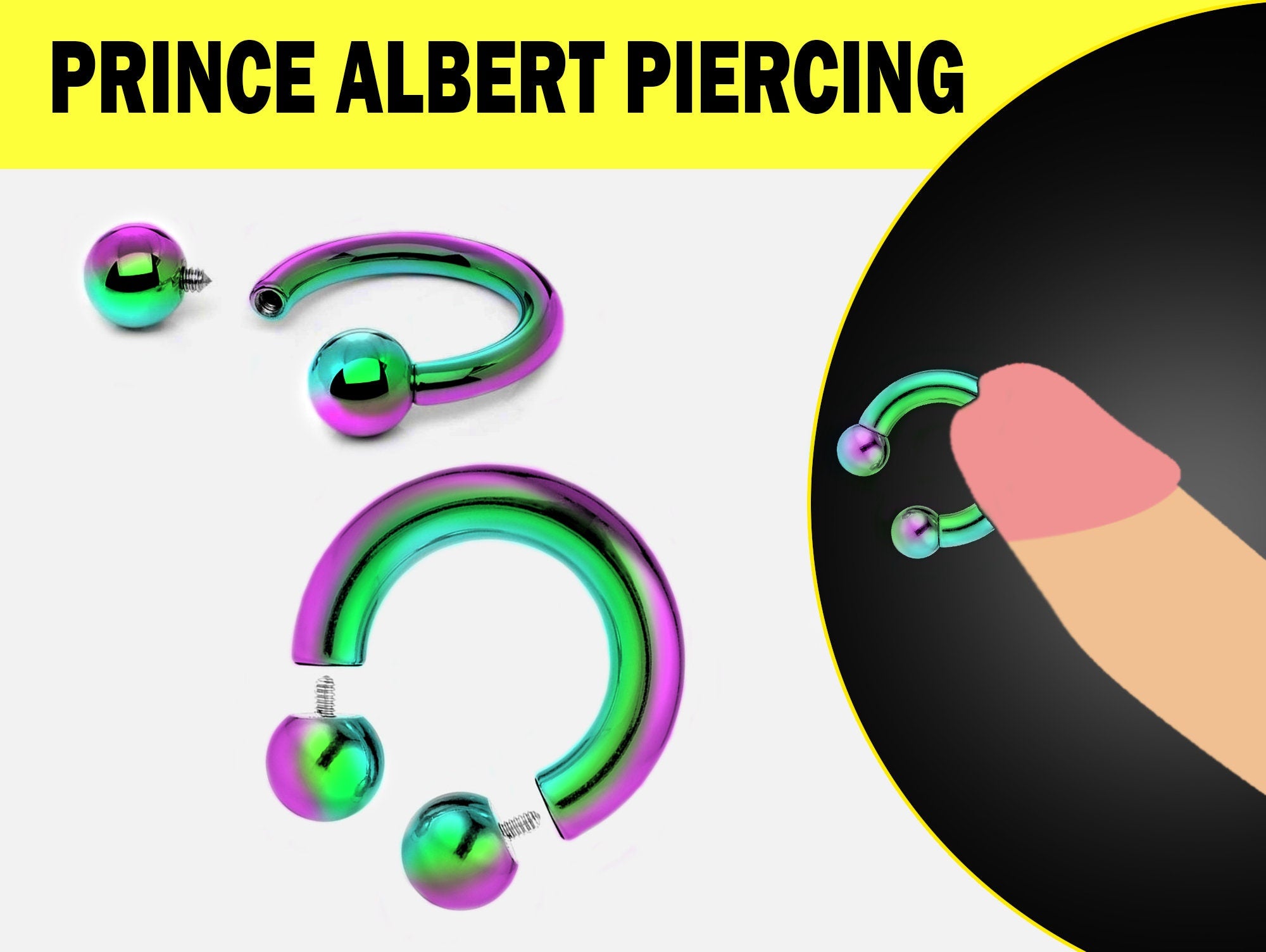 Rainbow Prince Albert Piercing, PA Ring - Circular Barbell, Horseshoe Barbell 10G to 00G Body Piercing