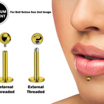 Titanium Gold Labret Stud Piercing 18g 16g 14g Lip Piercing External or Internally Threaded for Tragus Helix Cartilage Madonna Medusa Labret