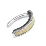 Titanium Reverse Clicker Belly Ring, Navel Ring with Glittery Design - 14G Belly Bar Size 10mm - Gold, Rose Gold, Silver Tone