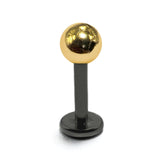 Titanium Labret Studs Combined with 14K Solid Gold Balls Body Jewellery Lip Piercing Jewelry Sold as a single unit