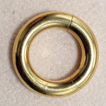 Titanium Prince Albert Piercing Segment Ring 12G 10G 8G 6G 4G 2G 1G 0G 00G Body Jewellery for Male Genitals, Nose Hoop - 1pc each order