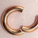 Titanium Prince Albert Piercing Segment Ring 12G 10G 8G 6G 4G 2G 1G 0G 00G Body Jewellery for Male Genitals, Nose Hoop - 1pc each order