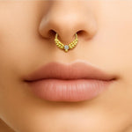 14K Gold 16G Olive Leaves Septum Clicker Ring, Daith Hoops, Helix Body Jewellery Segment Hinged Ring with Gem Crystal - Diameter size 8mm