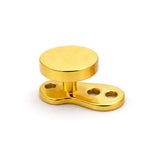 18K Gold 16G Micro Dermal Anchor Piercing Implant with Flat Cylinder Top - Internally threaded