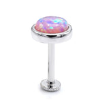 14K Gold Opal Tragus stud Earring 16G Labret Jewellery Cartilage piercing