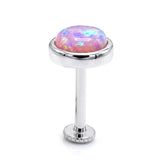 14K Gold Opal Tragus stud Earring 16G Labret Jewellery Cartilage piercing