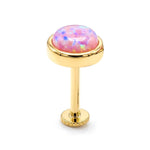 14K Gold Opal Tragus stud Earring 16G Labret Jewellery Cartilage piercing